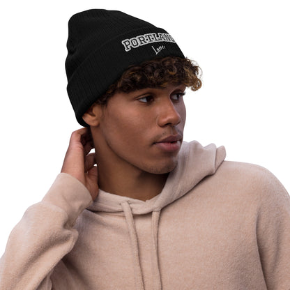 Block Style Ribbed Knit Beanie  image 0
