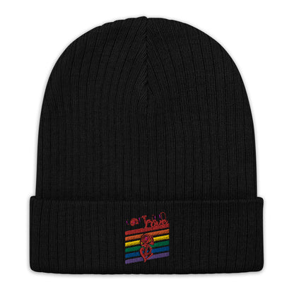 Rainbow Ribbed Knit Beanie image 0