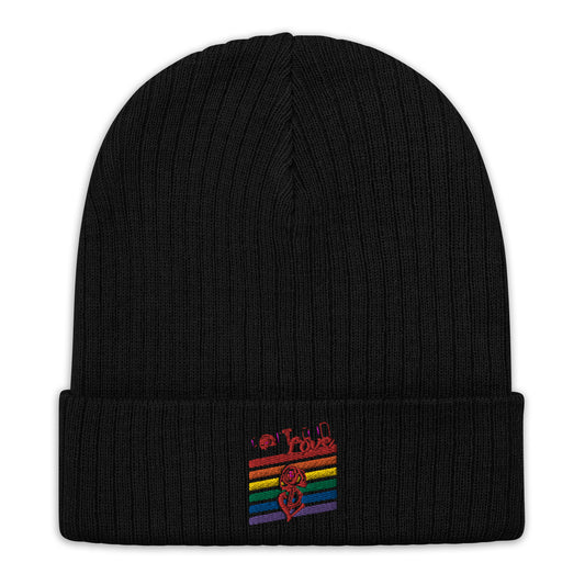 Rainbow Ribbed Knit Beanie image 0