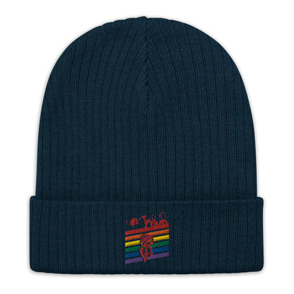 Rainbow Ribbed Knit Beanie image 1